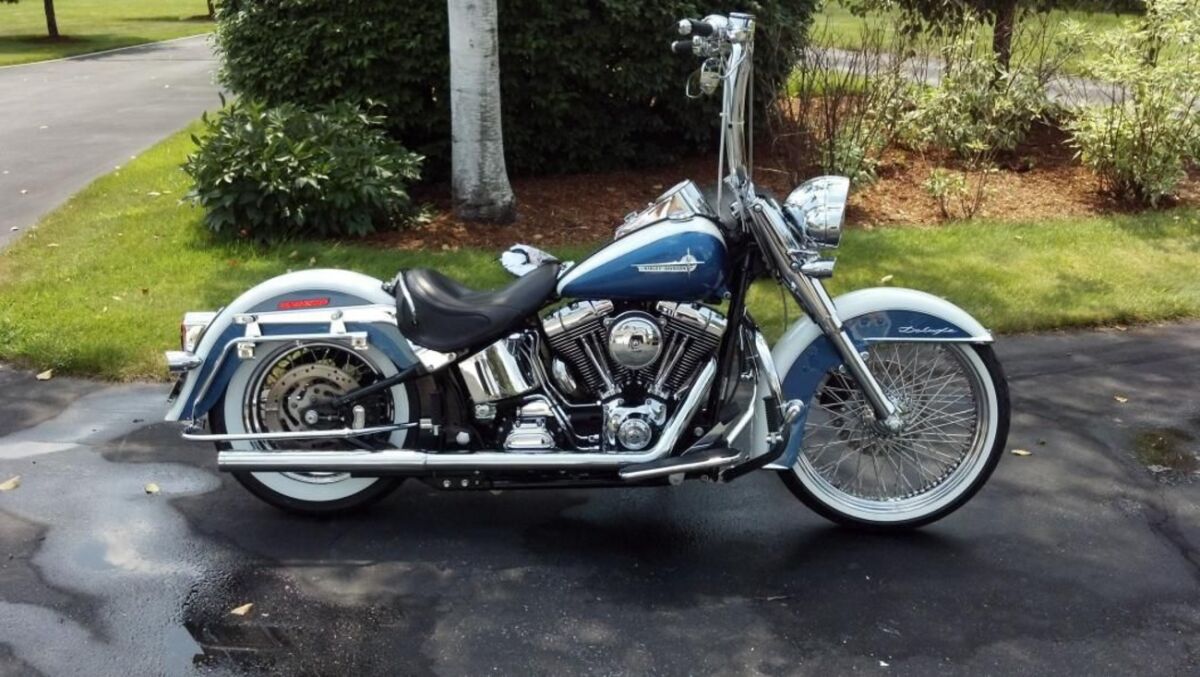 BURLY BRAND Guidon Gorilla Ape 16"