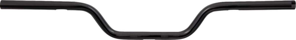 ARLEN NESS Guidon Moto