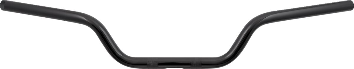 ARLEN NESS Guidon Moto