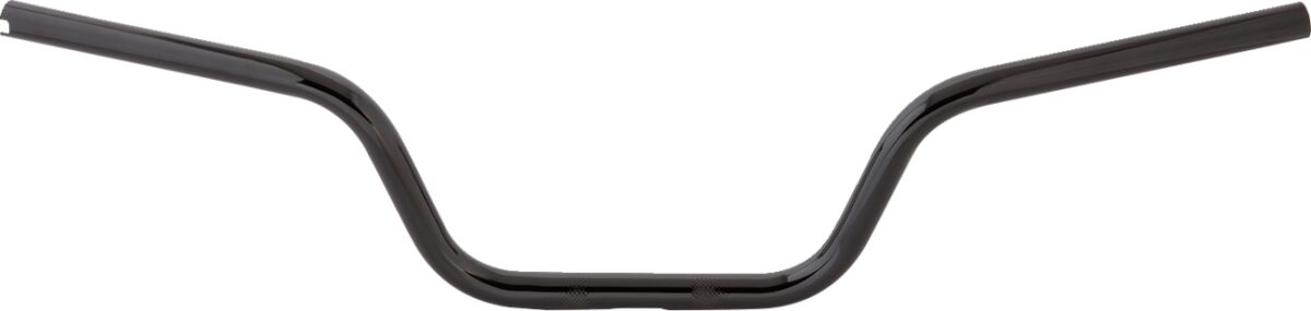 ARLEN NESS Guidon Moto