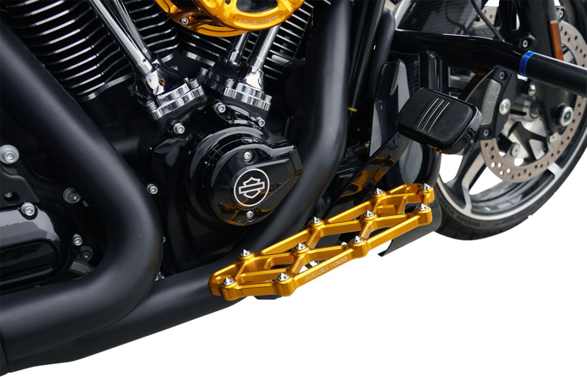 ARLEN NESS Diamond Floorboards - Touring - 4 Colors