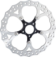 ARLEN NESS Disque Spider