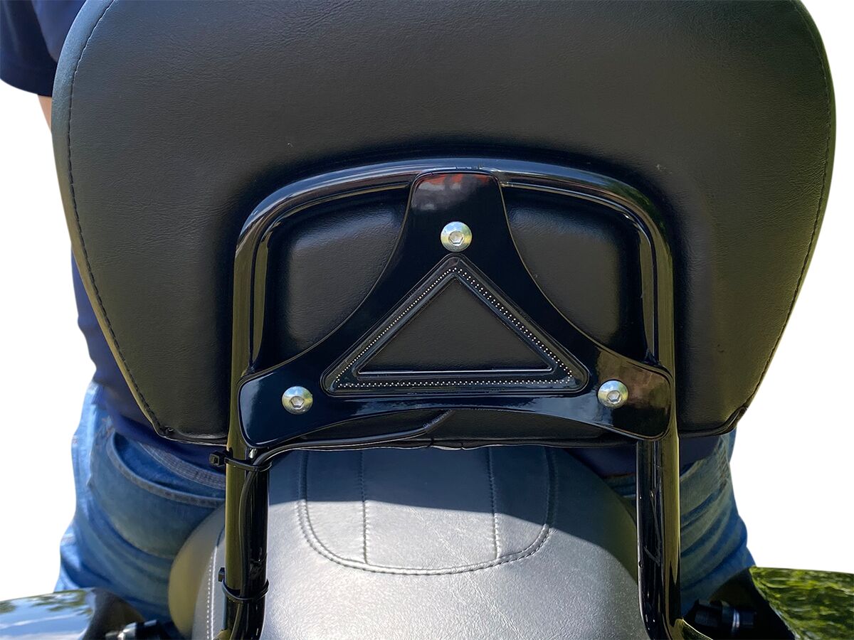 CUSTOM DYNAMICS Dual Intensity Run & Brake Backrest LED Light