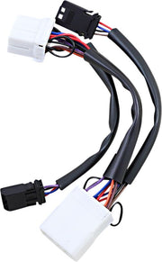 CUSTOM DYNAMICS Câblage Adaptateur for Dual Color Plasma Rods