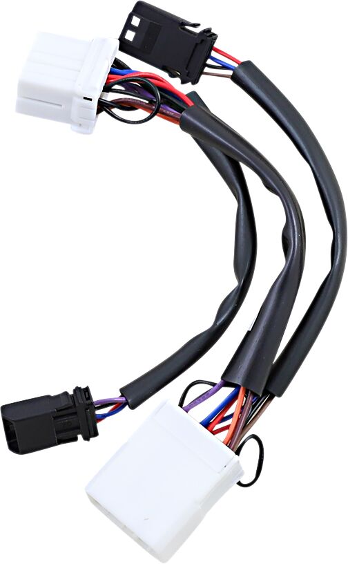CUSTOM DYNAMICS Câblage Adaptateur for Dual Color Plasma Rods