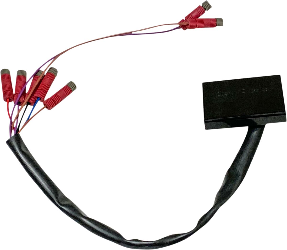 CUSTOM DYNAMICS Clignotant(s) Decoder