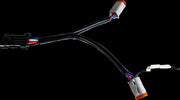 CUSTOM DYNAMICS Shark Demon Dual Lamp Câblage Faisceau