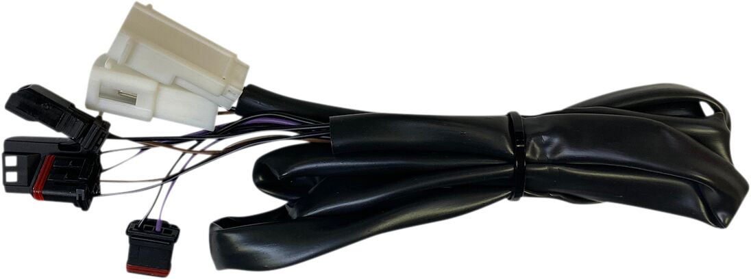 CUSTOM DYNAMICS Integrated Feu(x) arrière Faisceau