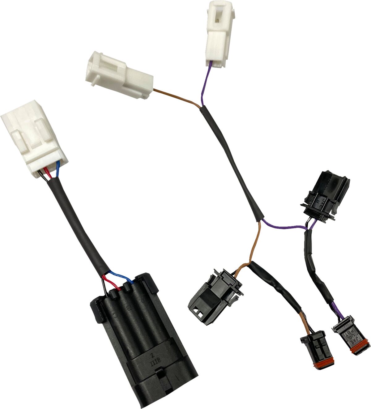 CUSTOM DYNAMICS Integrated Feu(x) arrière Adaptateur
