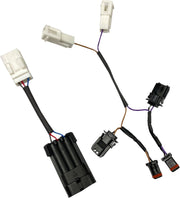 CUSTOM DYNAMICS Integrated Feu(x) arrière Adaptateur
