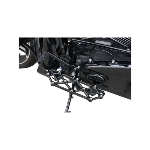 ARLEN NESS Diamond Floorboards - Touring - 4 Colors